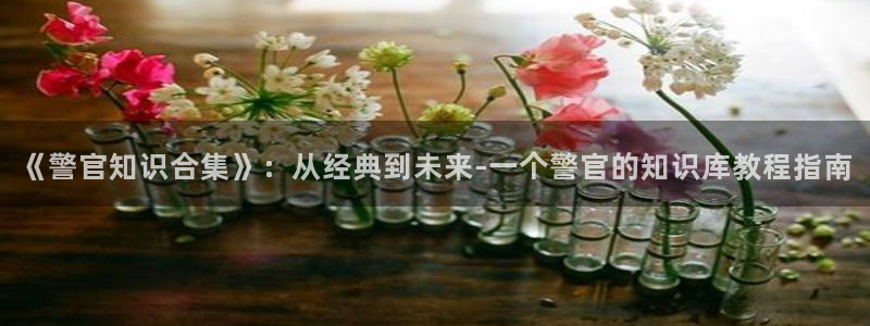 情爱免费小说：《警官知识合集》：从经典到未来-一个警官的知识库教程指南