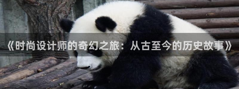 免费小说的小说网站：《时尚设计师的奇幻之旅：从古至今的历史故事》