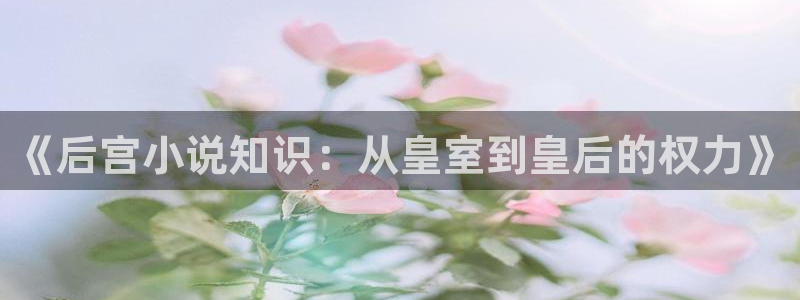 成人午夜免费小说：《后宫小说知识：从皇室到皇后的权力》