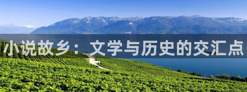 书包网免费小说下载：小说故乡：文学与历史的交汇点