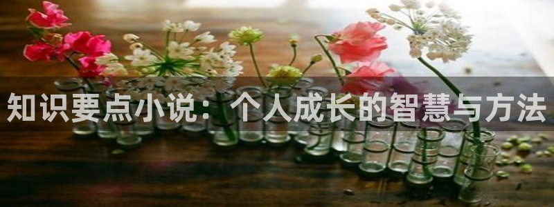 我免费小说：知识要点小说：个人成长的智慧与方法