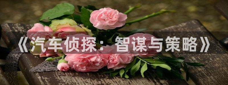 5200免费小说阅读网：《汽车侦探：智谋与策略》