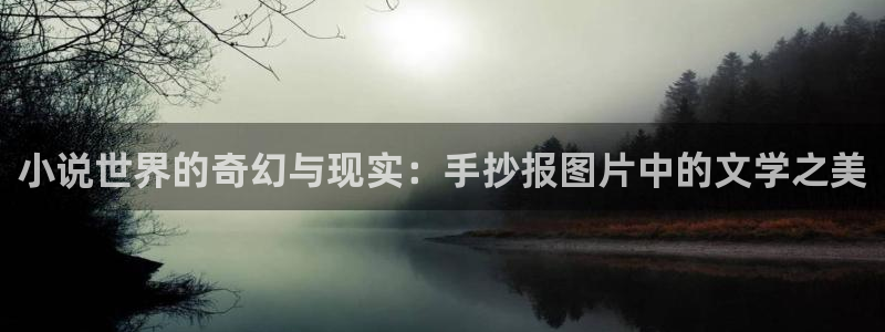 123免费小说：小说世界的奇幻与现实：手抄报图片中的文学之美