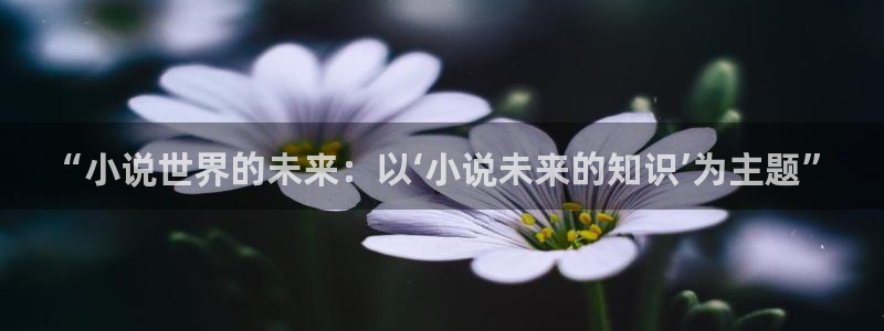久久久免费小说：“小说世界的未来：以‘小说未来的知识’为主题”