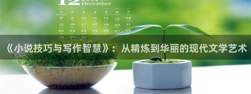尽阅免费小说：《小说技巧与写作智慧》：从精炼到华丽的现代文学艺术