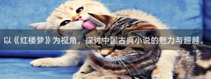 txt全网免费小说下载：以《红楼梦》为视角，探讨中国古典小说的魅力与超越。