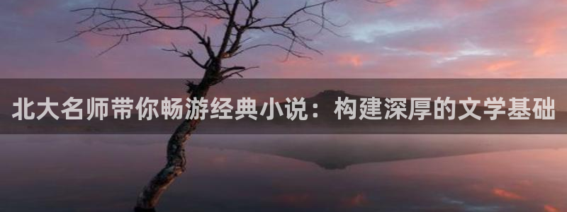 17k免费小说阅读网：北大名师带你畅游经典小说：构建深厚的文学基础