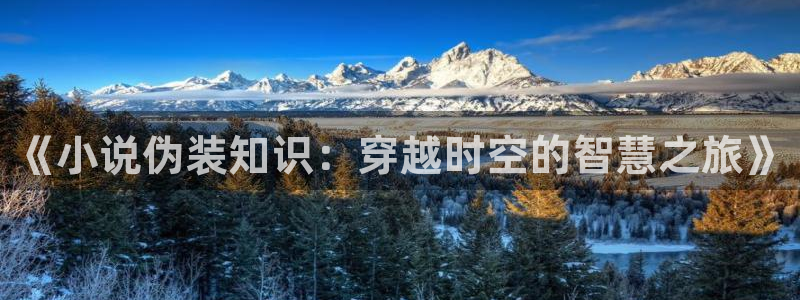 全本免费小说软件：《小说伪装知识：穿越时空的智慧之旅》