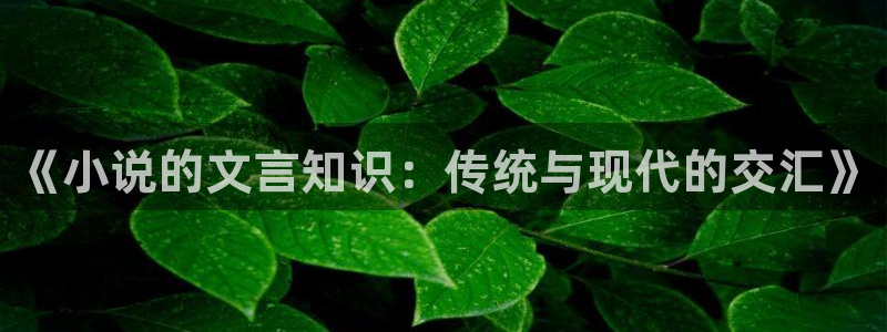 七毛免费小说：《小说的文言知识：传统与现代的交汇》