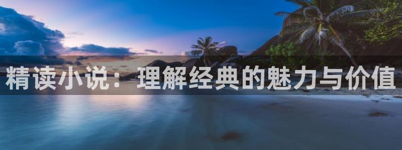 免费小说下载txt下载网站：精读小说：理解经典的魅力与价值